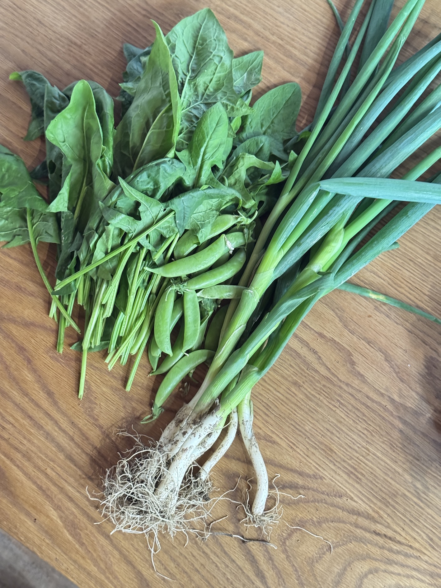 木くずと経済　-木くずのお礼に野菜をいただきました-