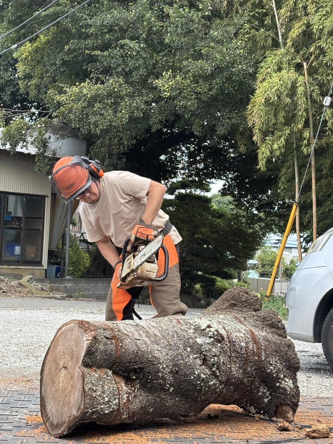 チェーンソー講習はじめます！