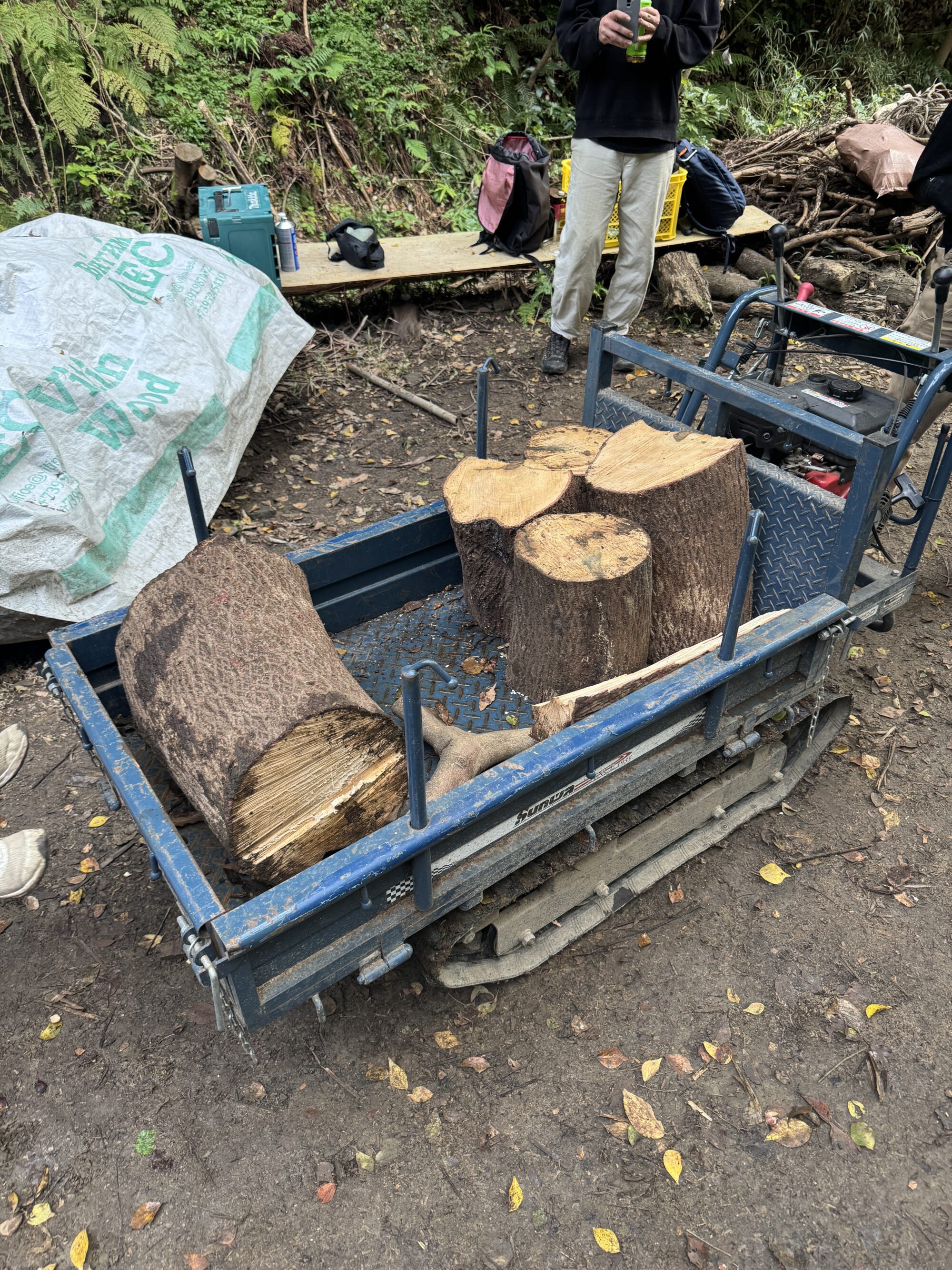 伐採のパートナー　かっこいい運搬車